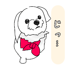 [LINEスタンプ] マルチーズ犬のひめちゃん【日常で使える】