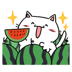 [LINEスタンプ] 夏にゃんこちゃん