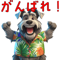 [LINEスタンプ] アロハシャツを着ているシュナウザー犬たち