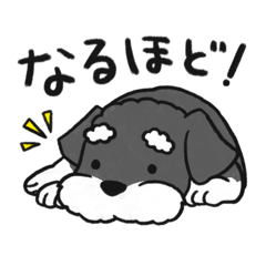 [LINEスタンプ] シュナくんスタンプ-2-