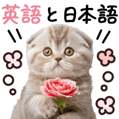 [LINEスタンプ] 英語と日本語♡ねこさん