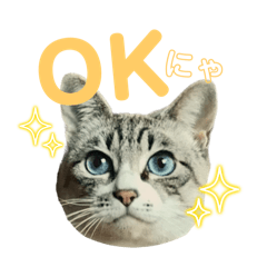 [LINEスタンプ] COCO TAKEMOTO