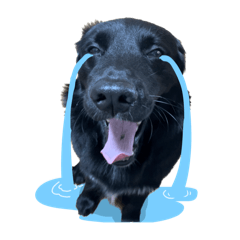 [LINEスタンプ] ニールシール 2