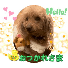 [LINEスタンプ] 犬、猫、馬でやんちゃなスタンプの画像（メイン）