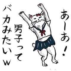 [LINEスタンプ] 志保ちゃん(無理矢理二足歩行猫)