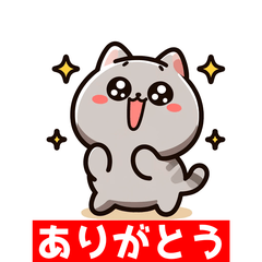 [LINEスタンプ] ひげのワンダー: 楽しいネコの表情