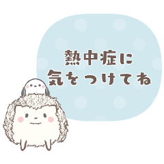 [LINEスタンプ] 大人可愛い動物フレームのスタンプ＊夏