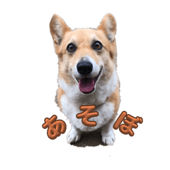 [LINEスタンプ] カノンです。