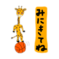 [LINEスタンプ] 動物バスケ