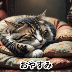 [LINEスタンプ] 毎日使える無難な猫