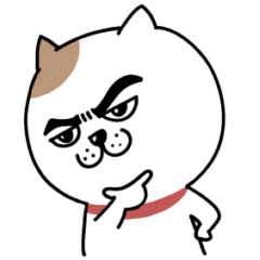 [LINEスタンプ] ★★★ハンサムキャット