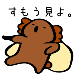 [LINEスタンプ] 36歳のコアラ