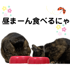 [LINEスタンプ] 毛玉ハウスへようこそ10