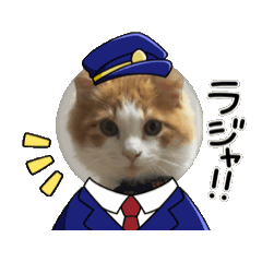 [LINEスタンプ] めあごろう6