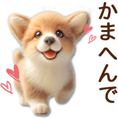 [LINEスタンプ] ずーっと関西弁♡羊毛コーギーの家族連絡