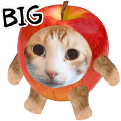 [LINEスタンプ] リンゴのネコと楽しい仲間