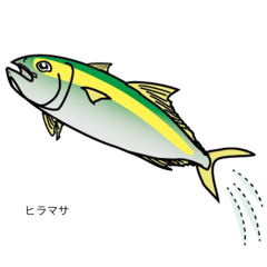 [LINEスタンプ] 海釣りに行こう01