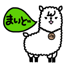 [LINEスタンプ] パカの日常スタンプ