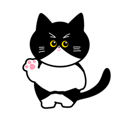 [LINEスタンプ] ハチワレねこのニケ。