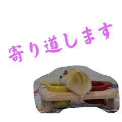 [LINEスタンプ] はむず〜寄り道〜