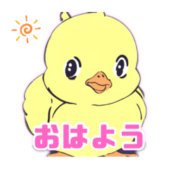 [LINEスタンプ] 可愛いひよこの挨拶スタンプ