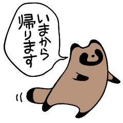 [LINEスタンプ] 毎日連絡たぬき