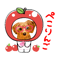 [LINEスタンプ] イッヌ、ワンコ、犬