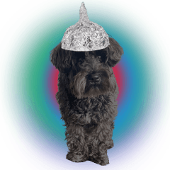 [LINEスタンプ] TIN FOIL DOG