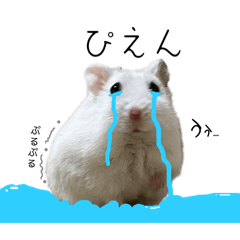 [LINEスタンプ] もっちゃん可愛い集