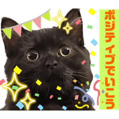 [LINEスタンプ] 黒猫 ルナ院長149にゃんめ