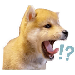 [LINEスタンプ] べびもんちゃんの画像（メイン）