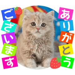 [LINEスタンプ] ねこまーち プリンスミルクティー