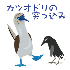 [LINEスタンプ] カツオドリの突っ込み