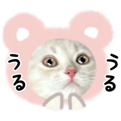 [LINEスタンプ] ロイくん♪2