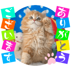 [LINEスタンプ] ねこまーち プリンスフェイバリット