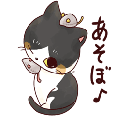 [LINEスタンプ] はちわれ猫のおそのさん