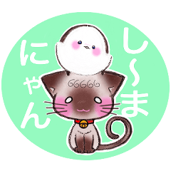 [LINEスタンプ] し〜まにゃんスタンプ