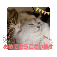 [LINEスタンプ] ミトラとニケ