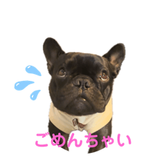 [LINEスタンプ] フレブル6兄弟の愉快なスタンプ♪