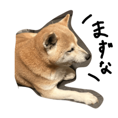 [LINEスタンプ] フルトさん