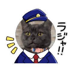 [LINEスタンプ] 今日のテトラ