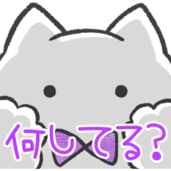 [LINEスタンプ] 紫推しねこ(報告)