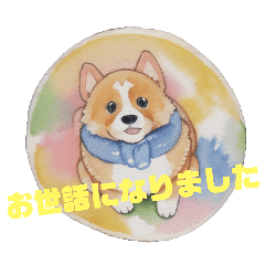 [LINEスタンプ] アニマルしり〜ず@コーギー ver.1