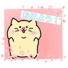 [LINEスタンプ] 猫の日常〜！！