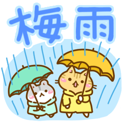 [LINEスタンプ] ねここさん25 梅雨