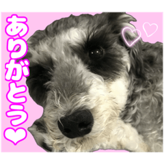 [LINEスタンプ] 日常ォ2