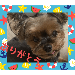 [LINEスタンプ] マレン君