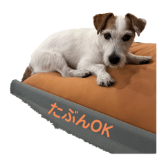 [LINEスタンプ] たぶんOK