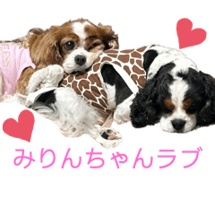 [LINEスタンプ] わたしのスタンプ(みりまり)