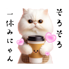 [LINEスタンプ] 白猫のカフェタイム